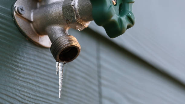 Best Toilet Repair Services  in Fussels Corner, FL